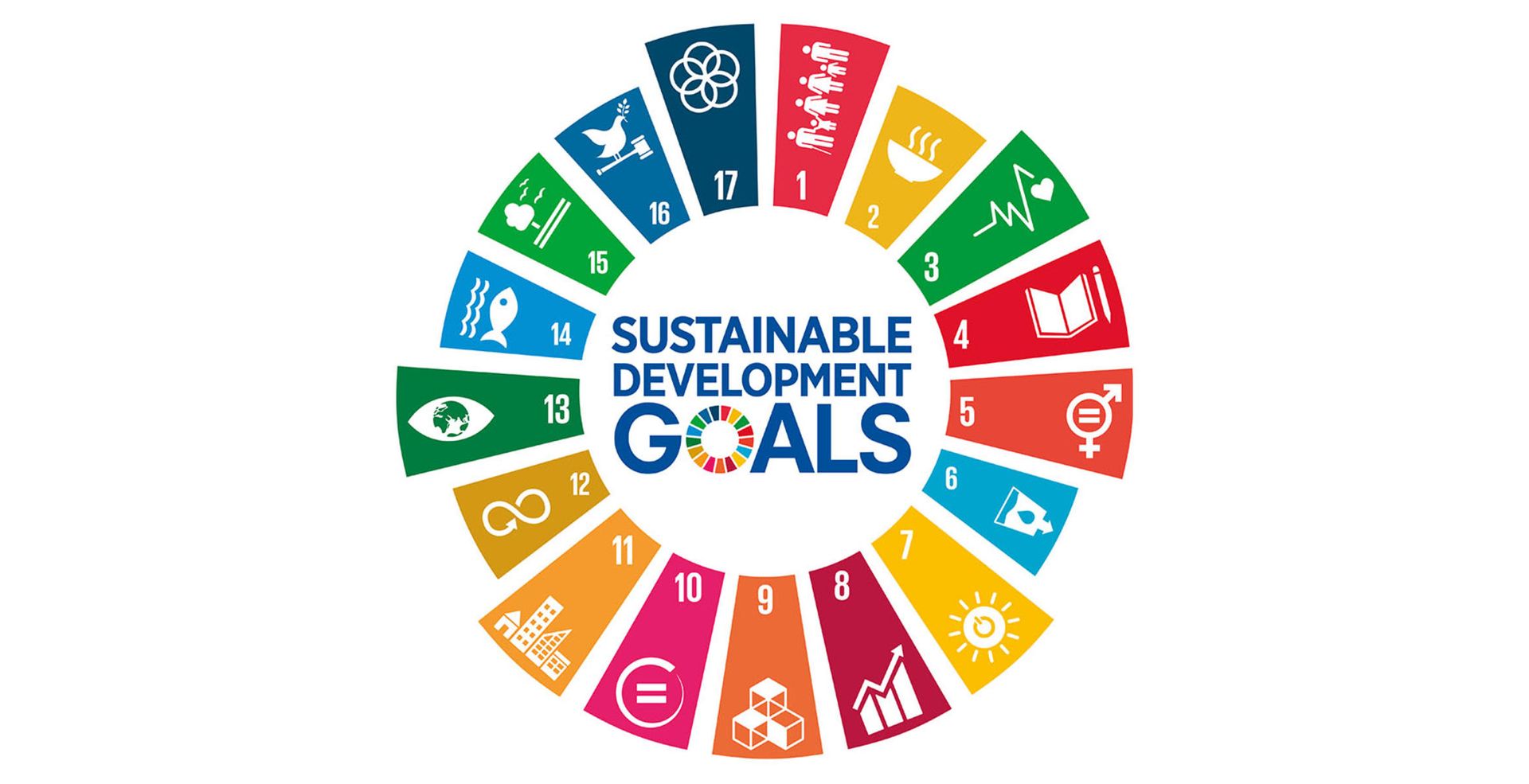 Die globalen Nachhaltigkeitsziele (SDGs) und ihre Werkzeuge